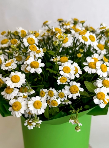 Композиция &laquo;Радужное настроение&raquo; от интернет-магазина цветов в 